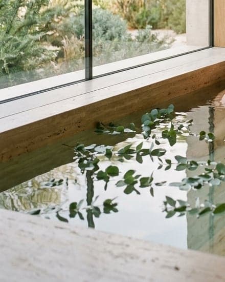 Eucalyptus leaves floating in a stone bath beside a garden window